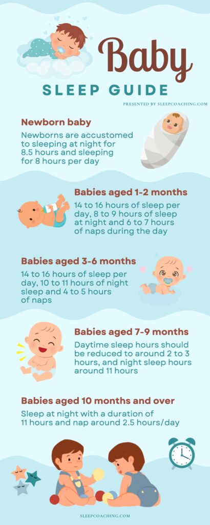 Baby Sleep Guide (Infographic)