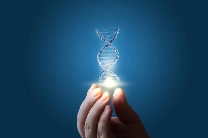 Do Your Children Have Trouble Sleeping? It Could Be In Their Genes