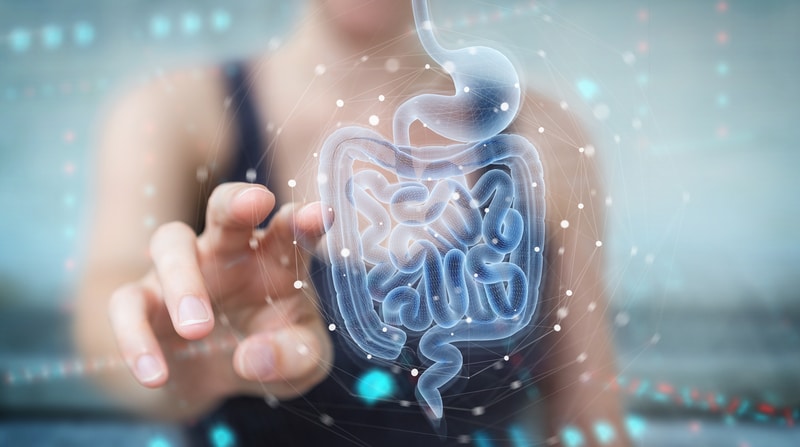New Study Shows What’s In Your Gut Influences How And When You Sleep